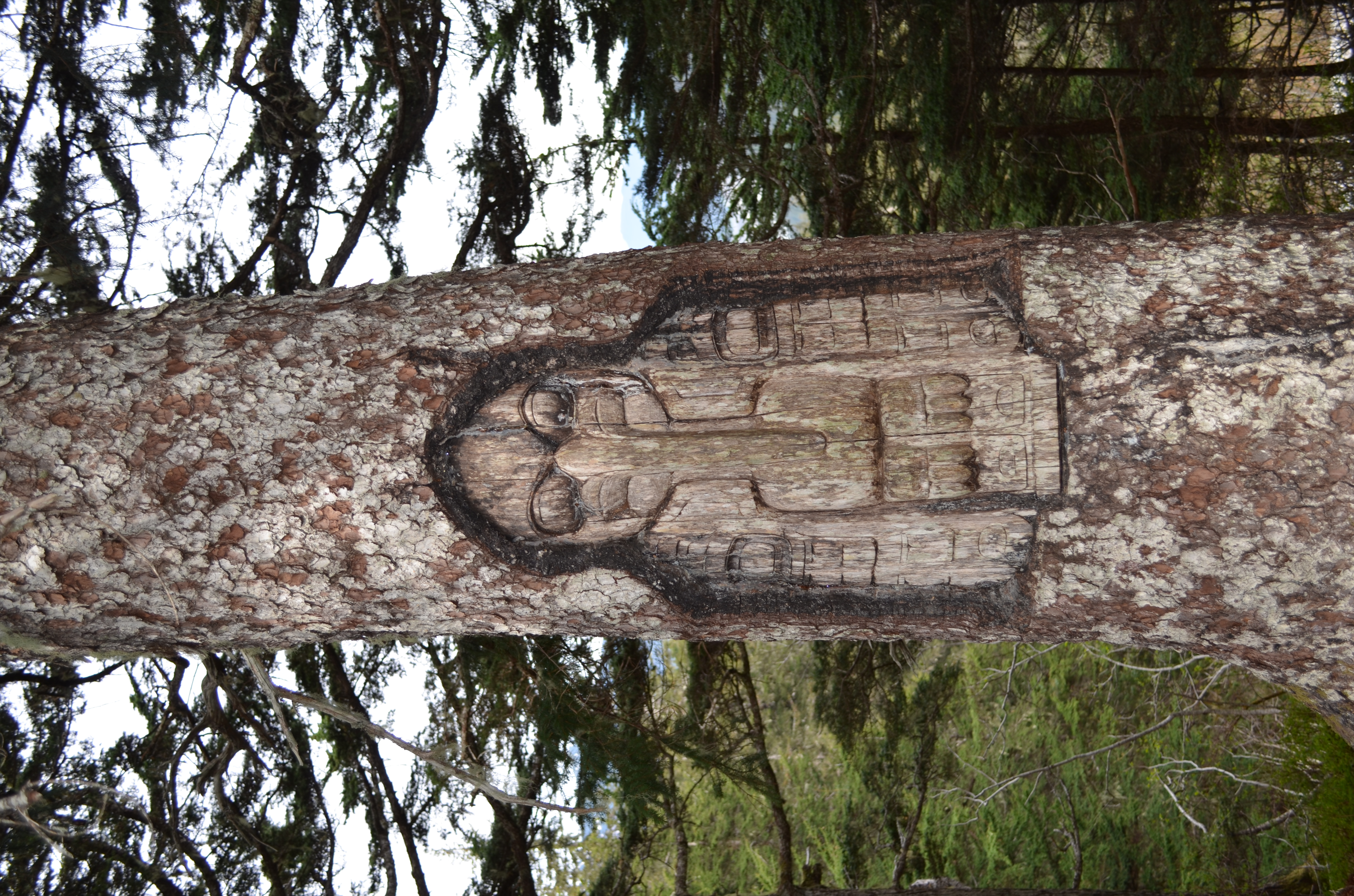 ./2017/08 - Alaska Cruise/08 - Juneau/DSC_0938.JPG